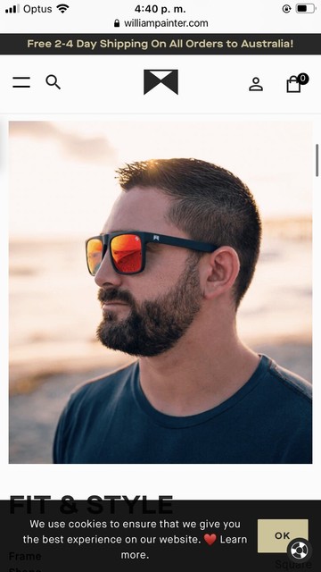 THE LEVEL. WILLIAM PAINTER. Sunglasses 